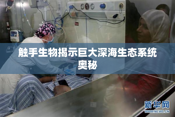 触手生物揭示巨大深海生态系统奥秘