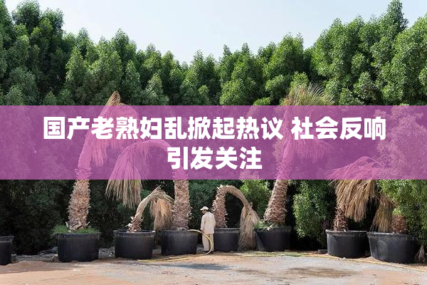 国产老熟妇乱掀起热议 社会反响引发关注