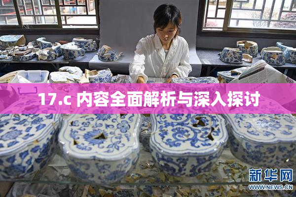 17.c 内容全面解析与深入探讨