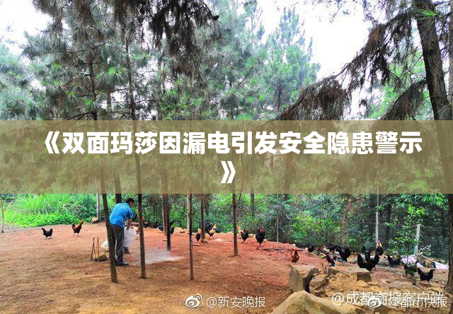 《双面玛莎因漏电引发安全隐患警示》