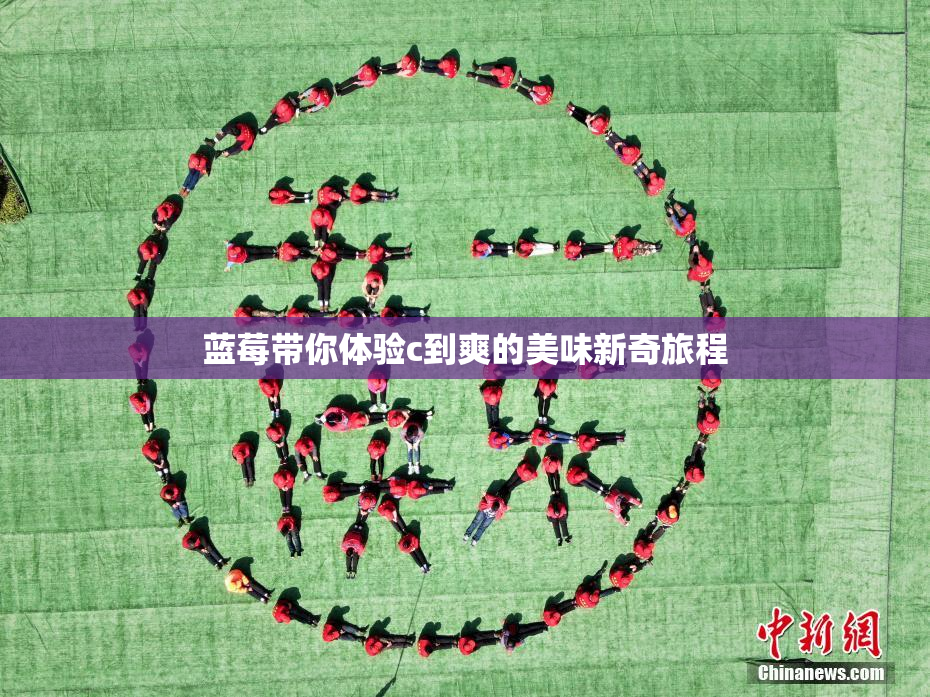 蓝莓带你体验c到爽的美味新奇旅程
