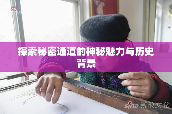 探索秘密通道的神秘魅力与历史背景