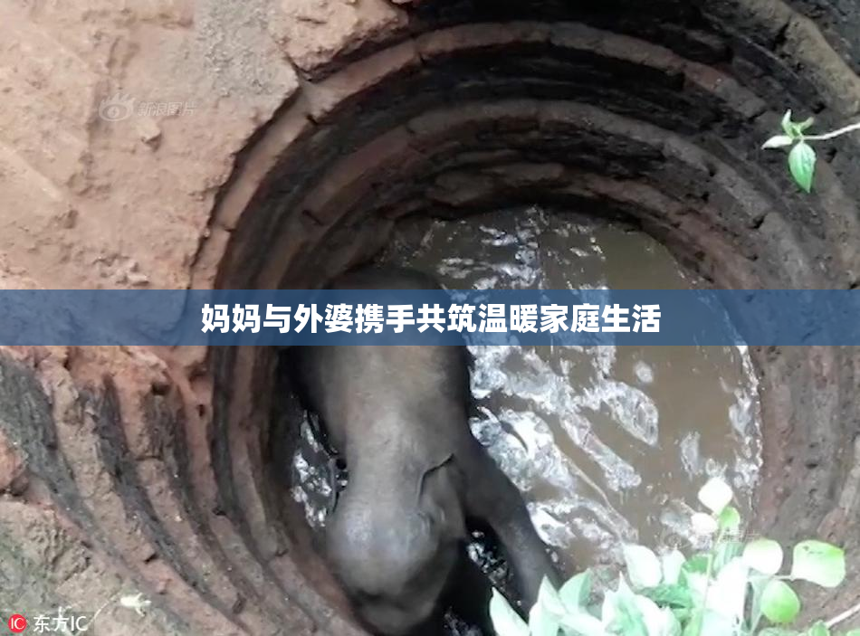 妈妈与外婆携手共筑温暖家庭生活