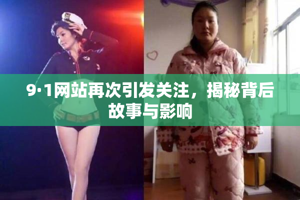 9·1网站再次引发关注，揭秘背后故事与影响