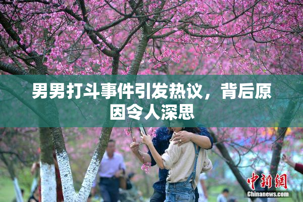 男男打斗事件引发热议，背后原因令人深思