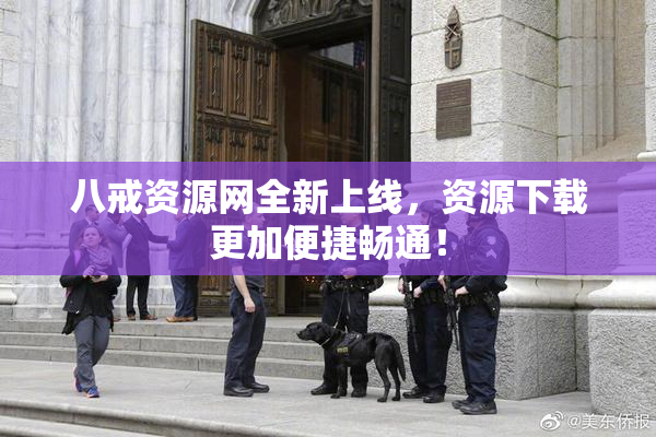 八戒资源网全新上线，资源下载更加便捷畅通！