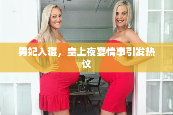 男妃入寝，皇上夜宴情事引发热议