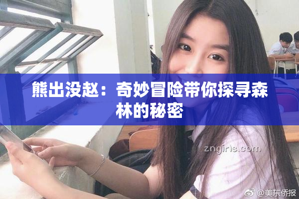 熊出没赵：奇妙冒险带你探寻森林的秘密