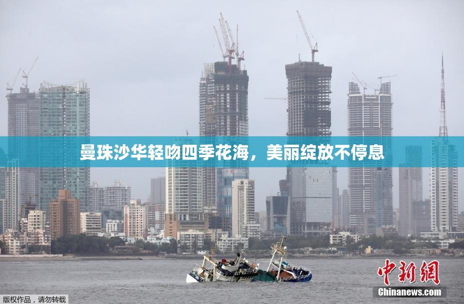 曼珠沙华轻吻四季花海，美丽绽放不停息