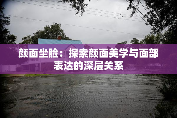 颜面坐脸：探索颜面美学与面部表达的深层关系