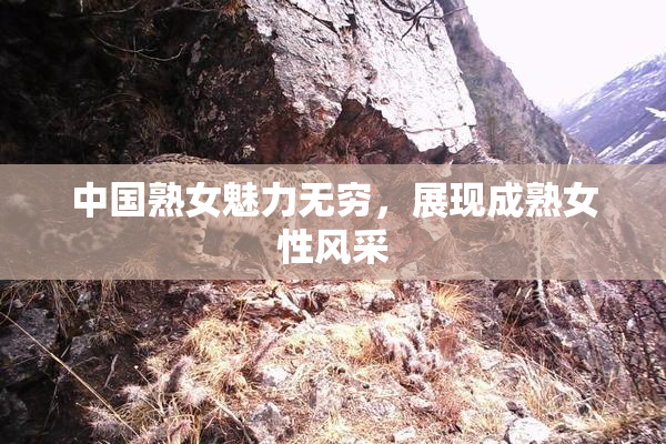 中国熟女魅力无穷，展现成熟女性风采