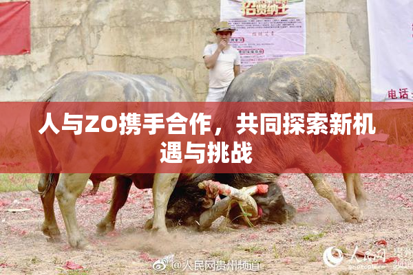 人与ZO携手合作，共同探索新机遇与挑战