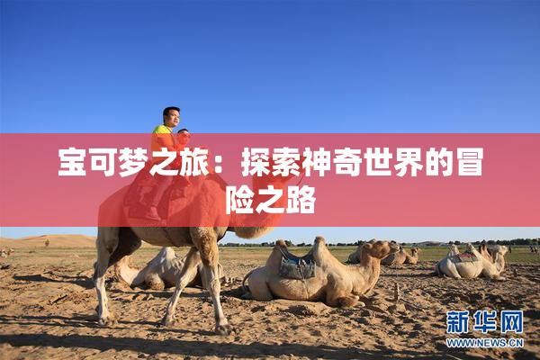 宝可梦之旅：探索神奇世界的冒险之路