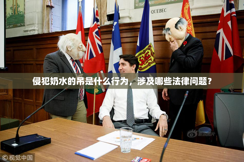 侵犯奶水的吊是什么行为，涉及哪些法律问题？