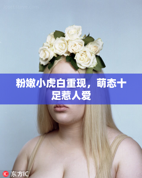 粉嫩小虎白重现，萌态十足惹人爱