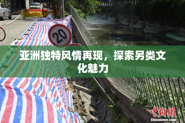 亚洲独特风情再现，探索另类文化魅力