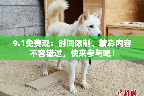 9.1免费观：时间限制、精彩内容不容错过，快来参与吧！