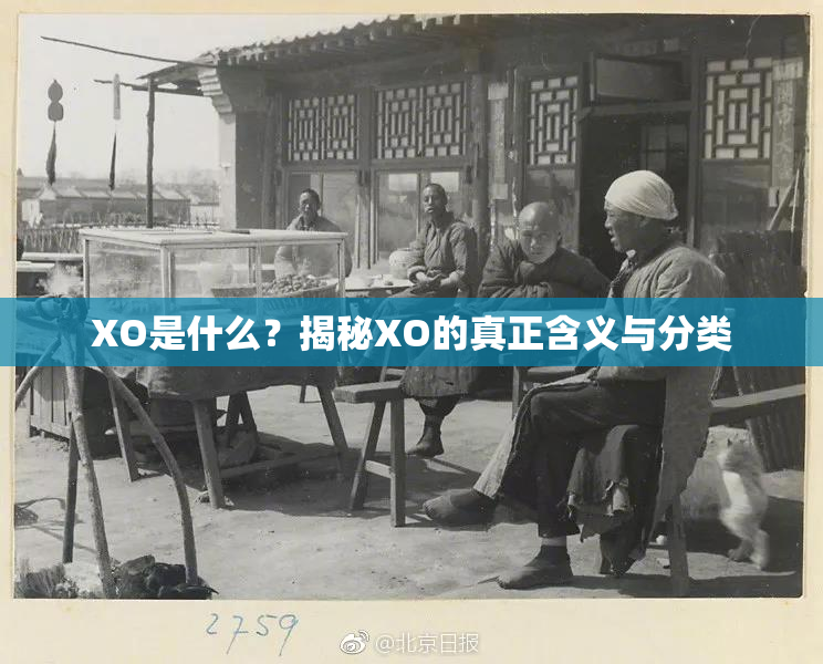 XO是什么？揭秘XO的真正含义与分类