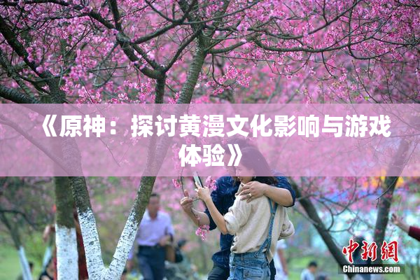 《原神：探讨黄漫文化影响与游戏体验》