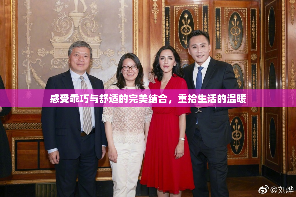 感受乖巧与舒适的完美结合，重拾生活的温暖