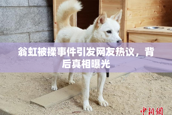 翁虹被揉事件引发网友热议，背后真相曝光