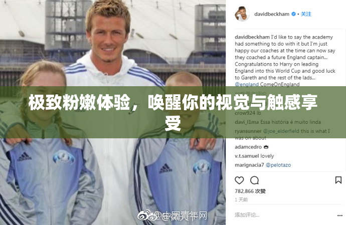 极致粉嫩体验，唤醒你的视觉与触感享受