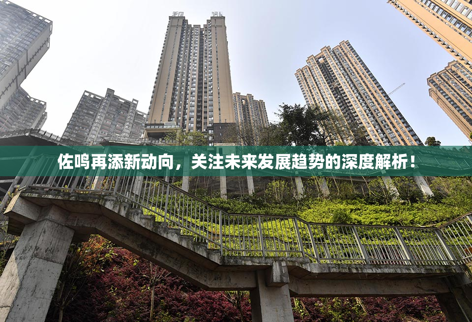 佐鸣再添新动向，关注未来发展趋势的深度解析！