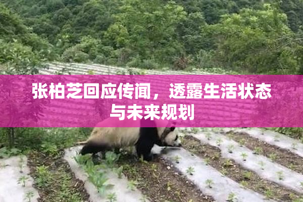 张柏芝回应传闻，透露生活状态与未来规划