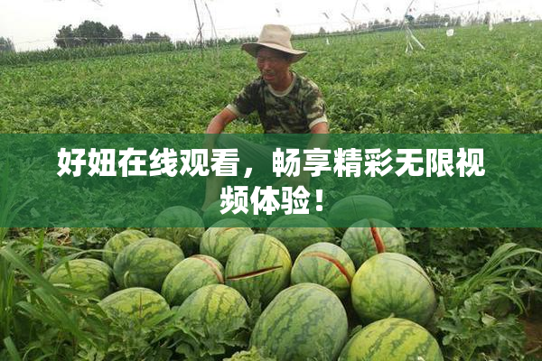 好妞在线观看，畅享精彩无限视频体验！
