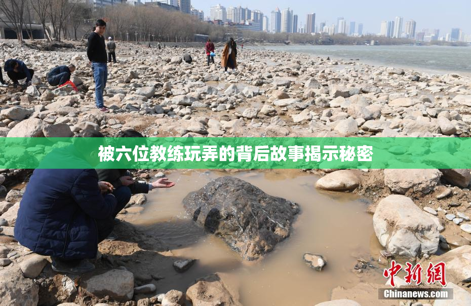 被六位教练玩弄的背后故事揭示秘密