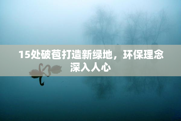 15处破苞打造新绿地，环保理念深入人心