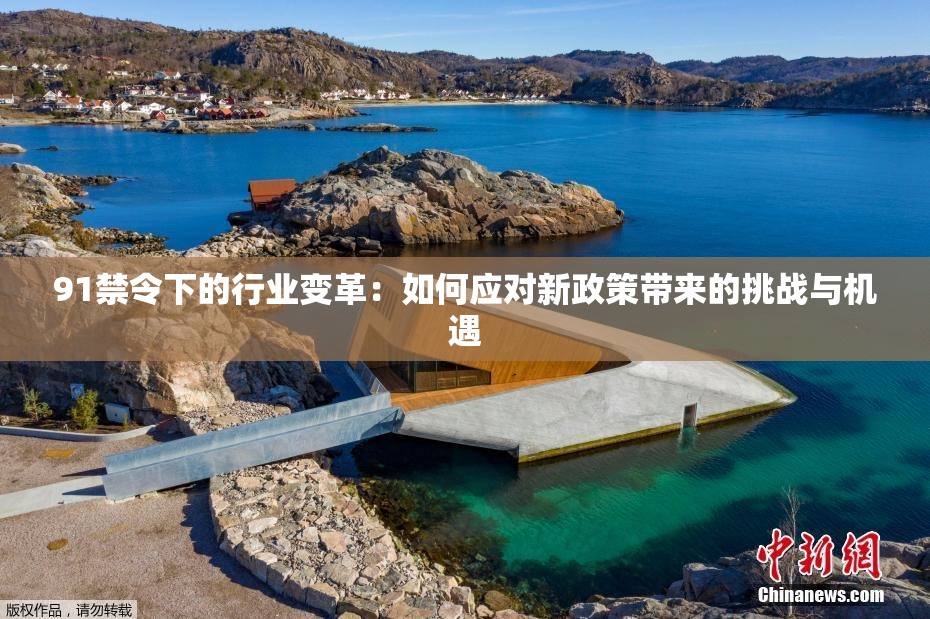 91禁令下的行业变革：如何应对新政策带来的挑战与机遇