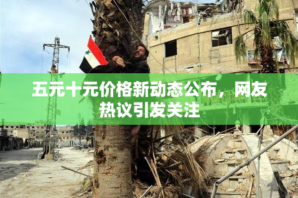 五元十元价格新动态公布，网友热议引发关注