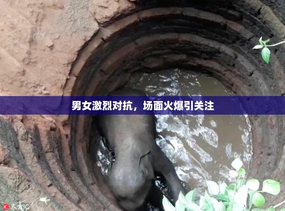 男女激烈对抗，场面火爆引关注