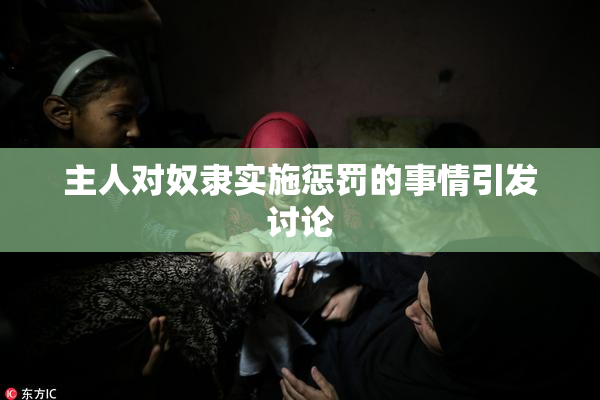 主人对奴隶实施惩罚的事情引发讨论
