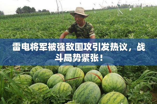 雷电将军被强敌围攻引发热议，战斗局势紧张！