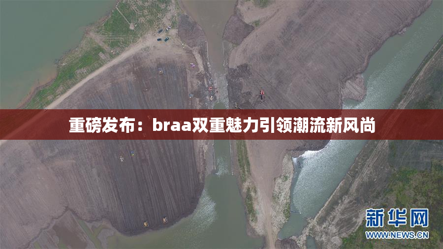 重磅发布：braa双重魅力引领潮流新风尚