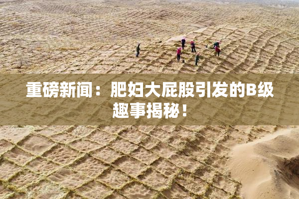 重磅新闻：肥妇大屁股引发的B级趣事揭秘！