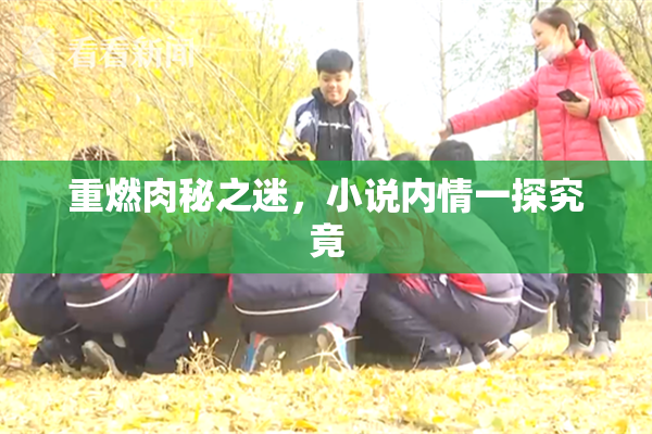 重燃肉秘之迷，小说内情一探究竟