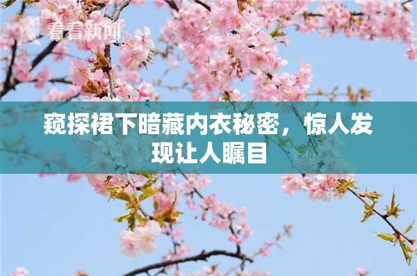 窥探裙下暗藏内衣秘密，惊人发现让人瞩目