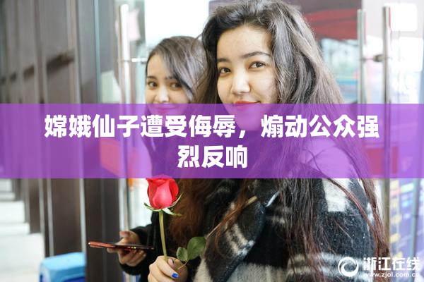 嫦娥仙子遭受侮辱，煽动公众强烈反响