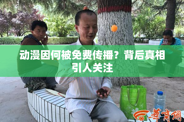 动漫因何被免费传播？背后真相引人关注