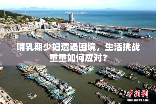 哺乳期少妇遭遇困境，生活挑战重重如何应对？