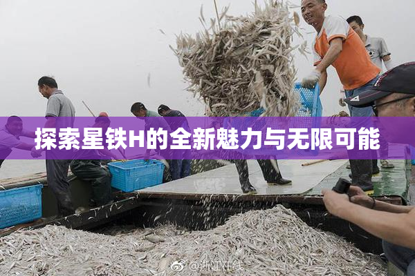 探索星铁H的全新魅力与无限可能