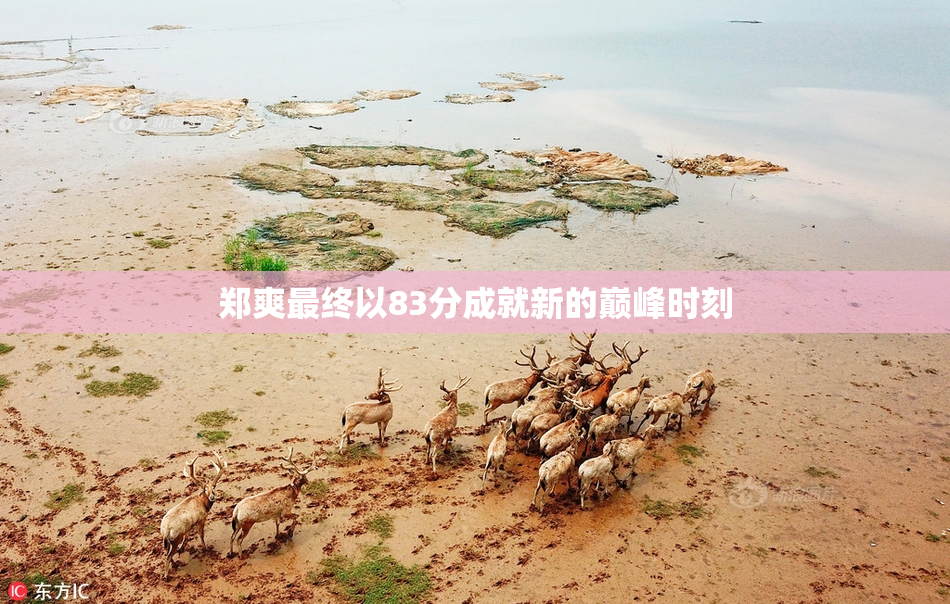 郑爽最终以83分成就新的巅峰时刻