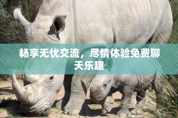 畅享无忧交流，尽情体验免费聊天乐趣