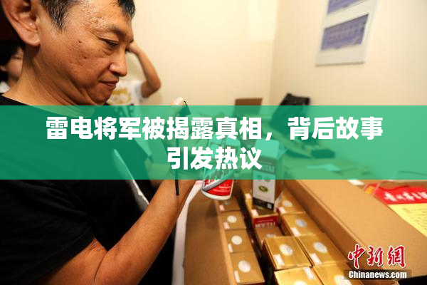雷电将军被揭露真相，背后故事引发热议