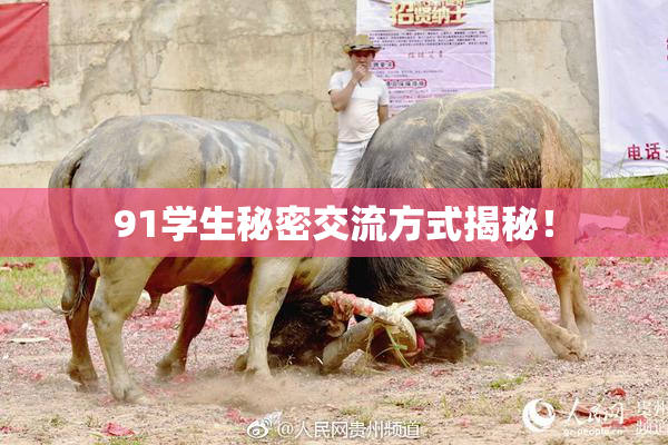 91学生秘密交流方式揭秘！