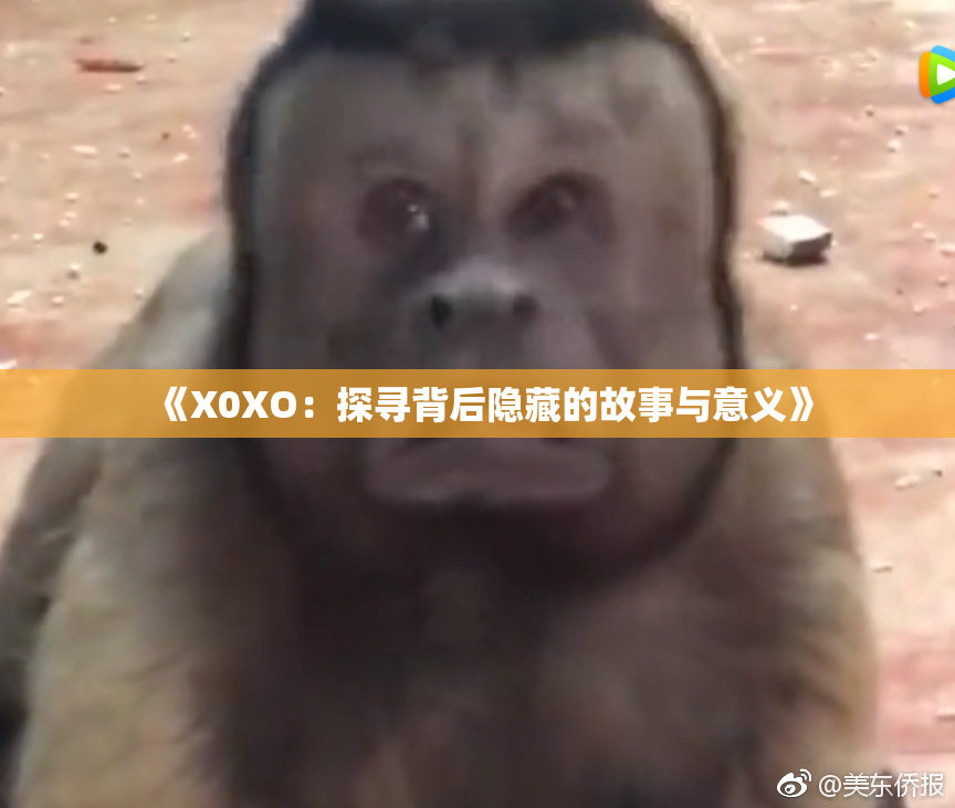 《X0XO：探寻背后隐藏的故事与意义》