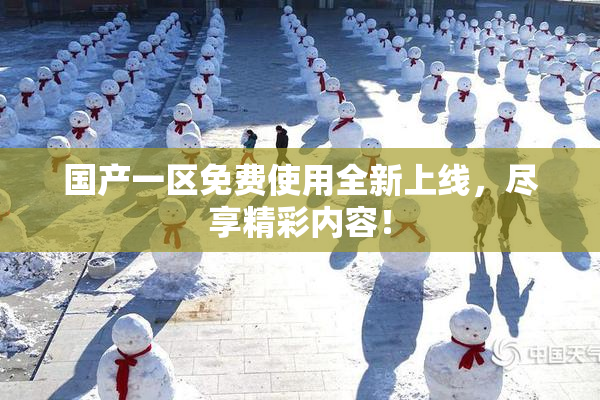 国产一区免费使用全新上线，尽享精彩内容！